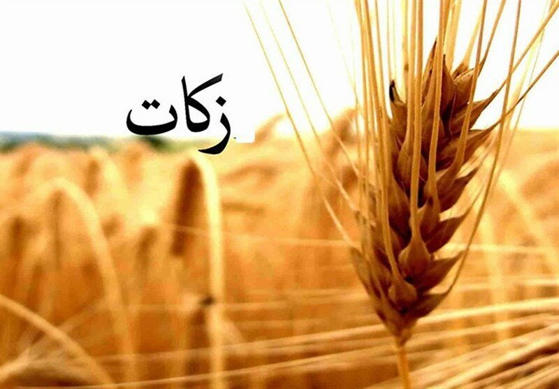 همه زکات ها در همان منطقه هزینه می شود