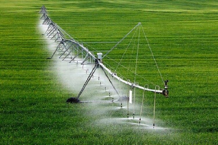 نوروزی: از کشاورزان برای اجرای شیوه های جدید آبیاری حمایت شود