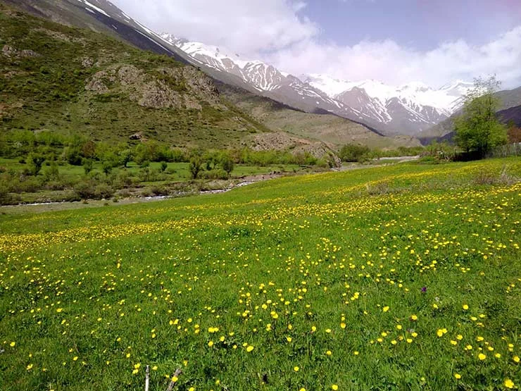 روستای الیت کجاست: راهنمای سفر به الیت در مازندارن