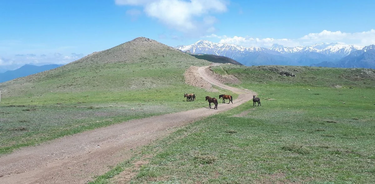 روستای الیت کجاست: راهنمای سفر به الیت در مازندارن