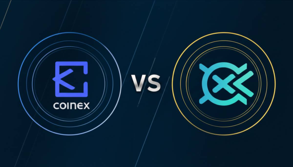 تفاوت صرافی کوینکس و کوکوین | مقایسه جامع و انتخاب بهتر