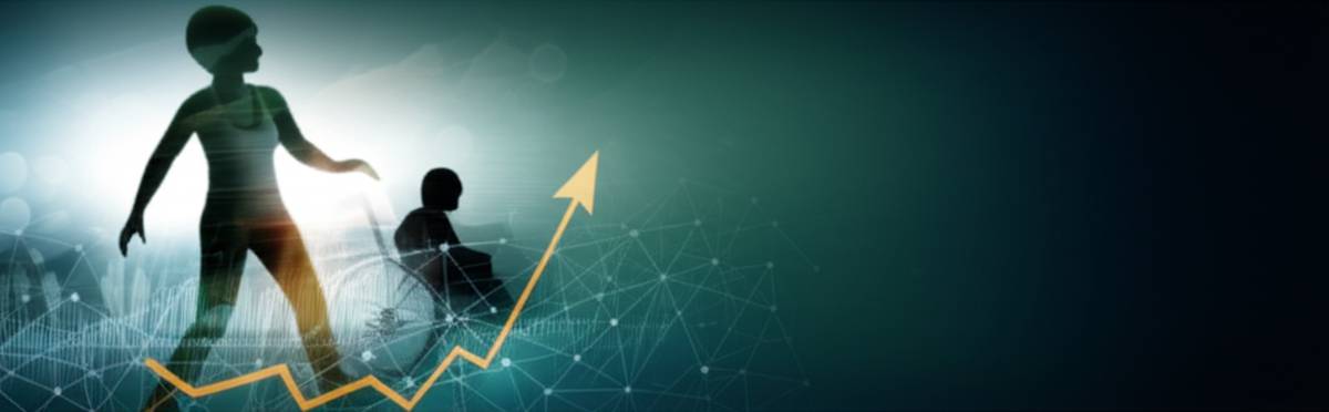 توانبخشی | کتاب خلاصه جامع کتاب توانبخشی و اقتصاد | روشنک نجفی