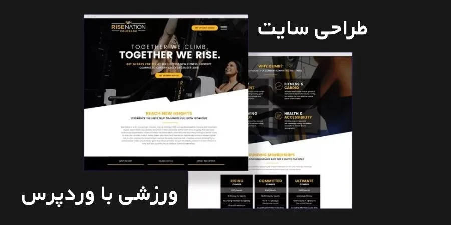شرکت های طراحی سایت ورزشی با وردپرس